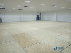 ľľذ廷