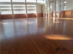 �˶�����ľ�ذ��ļ��Լ۱ȸ�