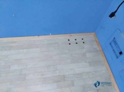 ��ľ��������ľ�ذ����Ǯ