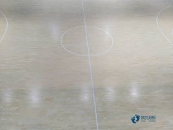 ����ľ�ذ�۸��Ƕ���