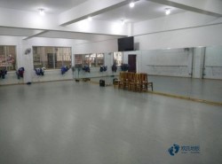 ��ͨ�����˶�ľ�ذ廷����