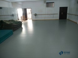 ��������ľ�ذ�ʮ������