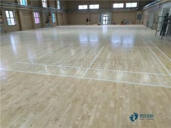 �Żݵ���������ľ�ذ屨��