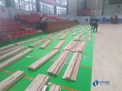 ˫������������ذ���������