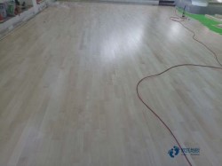 ���������˶�ľ�ذ��ĸ����ӽϺ�