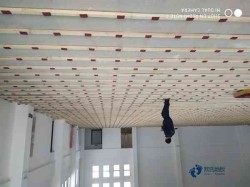 20���˶�����ľ�ذ��ĸ����ӱȽϺ�