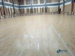 20���˶�����ذ��ĸ����ӻ���