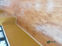 �������ݵذ���Щ���Ӻ�