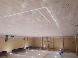 ��������ľ�ذ�Ϻõ�