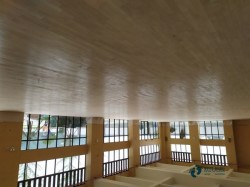 ��ѧ�����˶��ذ�ʩ���Ŷ�