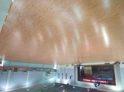 22mm���˶����ذ��ĸ����Ӻ�