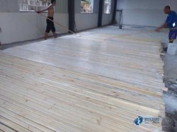 �˶�ľ�ذ��ĸ����Ӻ�