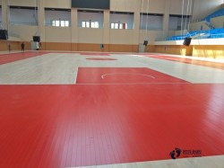 20���˶����ݵذ�Ʒ���ĸ���