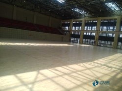 20���˶���ľ�ذ�Ϻõ�����Щ����