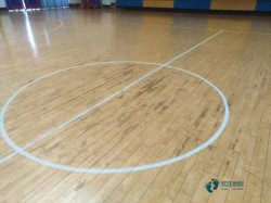 篮球场馆地板较好的